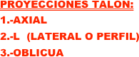 PROYECCIONES TALON: 
1.-AXIAL
2.-L  (LATERAL O PERFIL)
3.-OBLICUA
